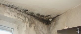 Кривые стены и плесень в новостройке: как заставить застройщика исправить дефекты или выплатить компенсацию