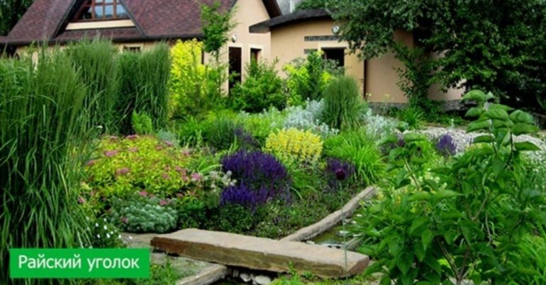 Благоустройство участка в Подмосковье