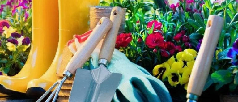 Товары для сада и двора из США: что выгодно заказывать в Россию уже этим летом